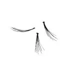 Permanent Individual Lashes