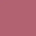 186 - shy rose