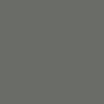 22 - dark grey green