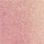 297A - rosy heart throb