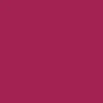 45 - raspberry tart