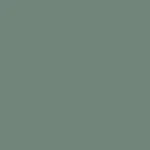 49 - pearly moss green