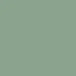 49 - shiny moss green