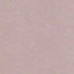 538 - matt nude rose
