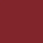 692 - autumn leaf
