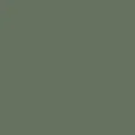72 - seaweed